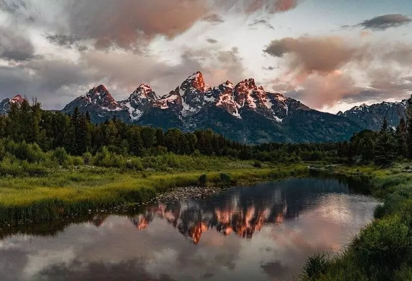Tammah Jackson Hole
