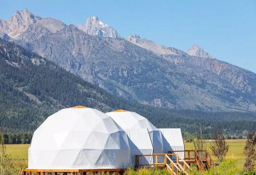 Tammah Jackson Hole