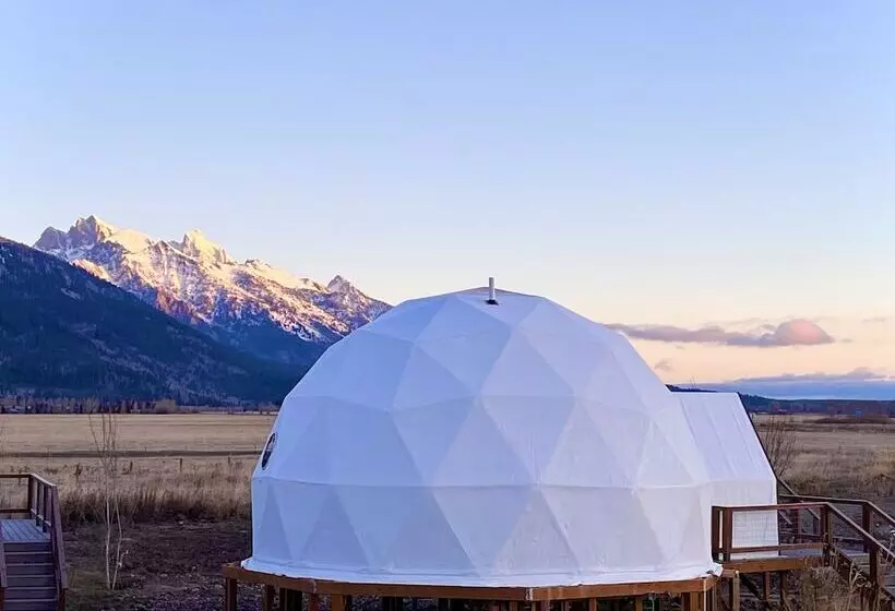 Tammah Jackson Hole