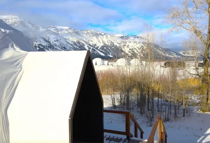 Tammah Jackson Hole