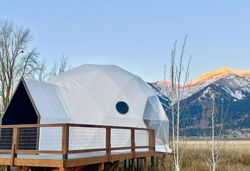 Tammah Jackson Hole