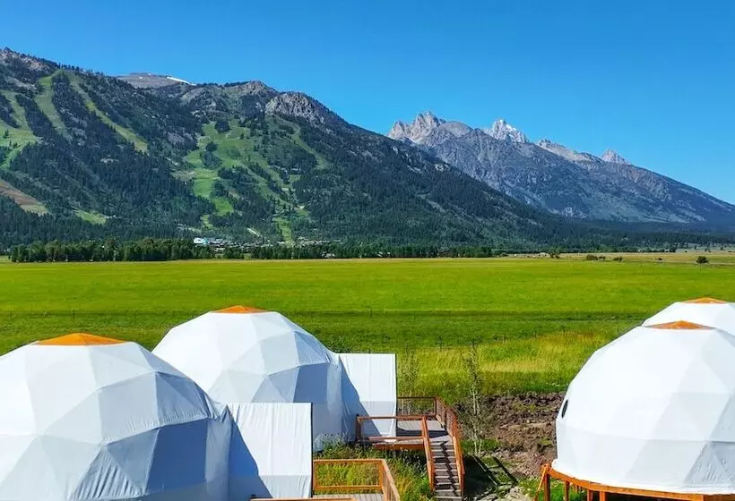 Tammah Jackson Hole