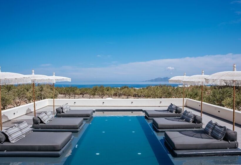 فندق Zaitun Luxury Suites