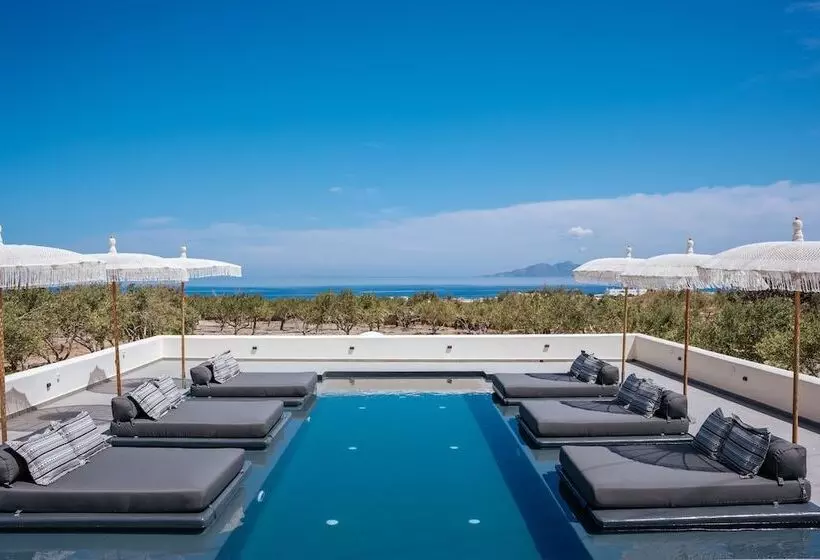 ホテル Zaitun Luxury Suites