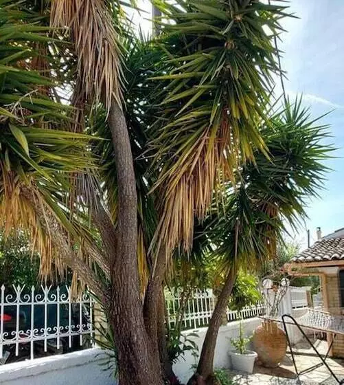Residenssi A Flower House In Corfu Close To Beach And Town