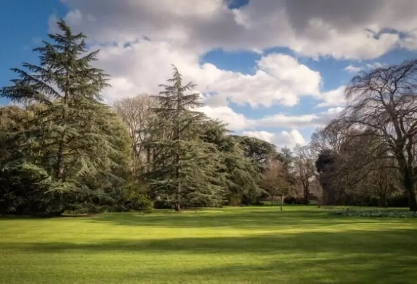 レジデンス Downing College