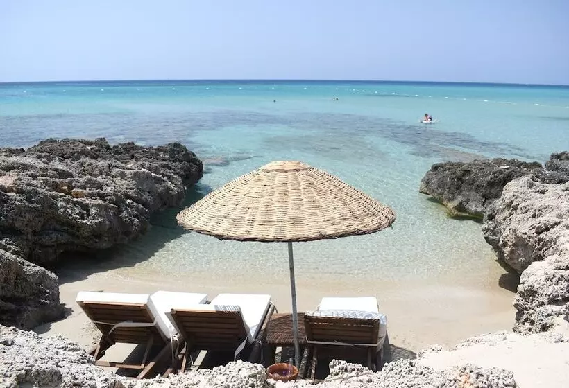Zay A çeşme Hotel & Beach