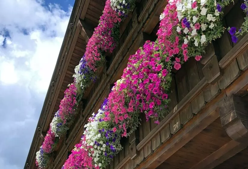 Alpenhotel Tirolerhof
