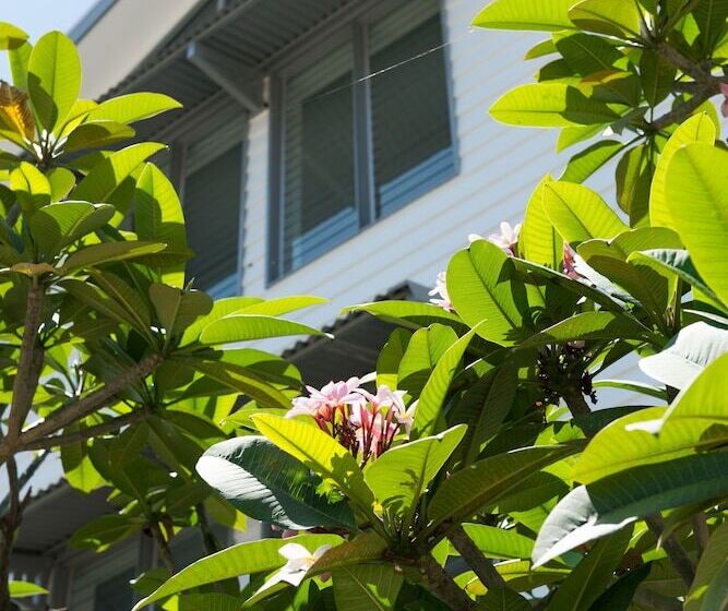 Heart Hotel And Gallery Whitsundays