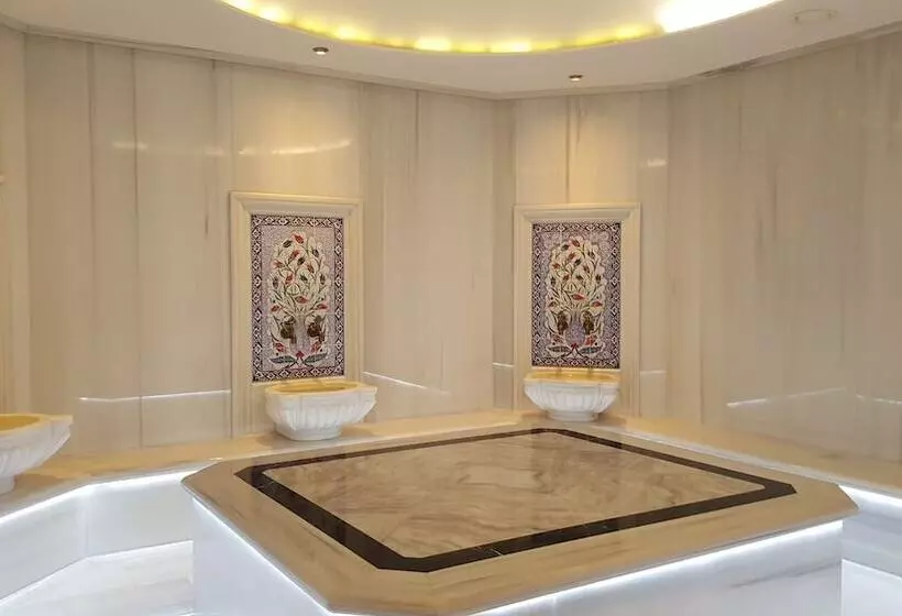 هتل Hilton Garden Inn Kocaeli Sekerpinar