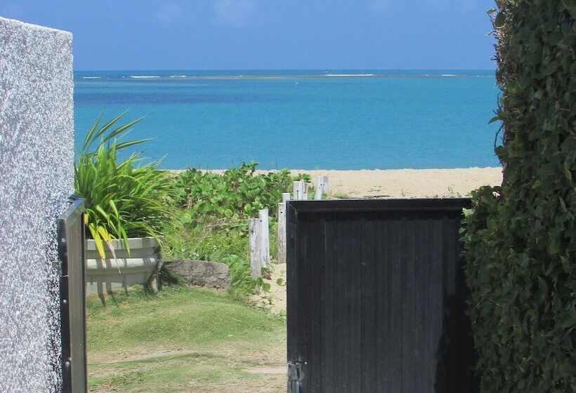 ホテル Pousada Baia Dos Corais