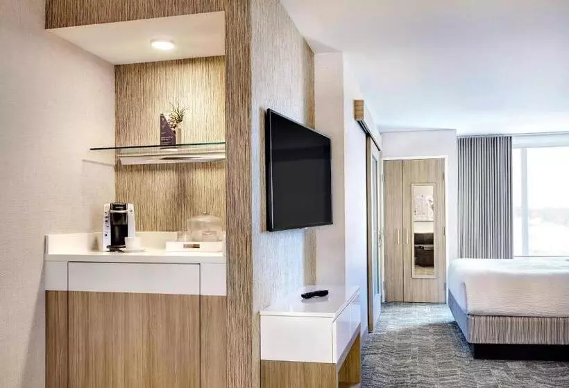 ホテル Springhill Suites By Marriott Cleveland Independence