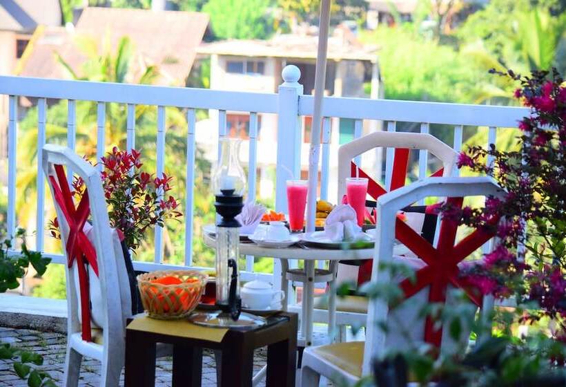 Pension Notting Hill Country House