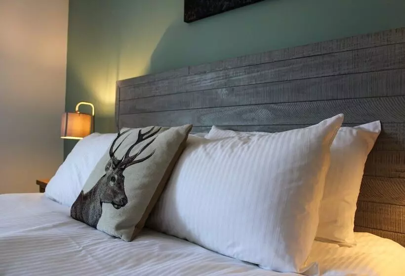 Aamiaismajoitus (B&B) The White Lion