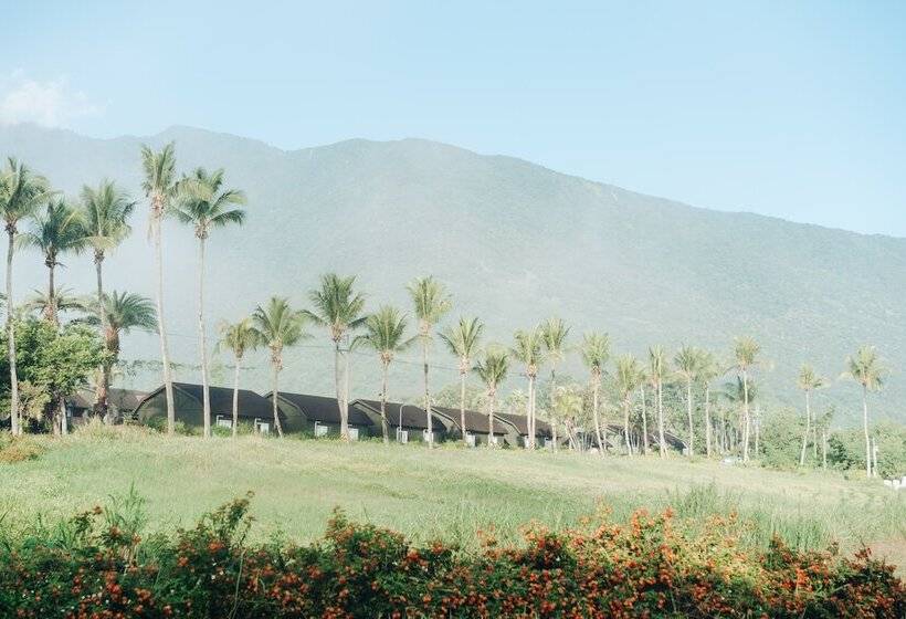 هتل Chu Resort Hualien