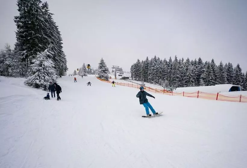 ホテル Hochsauerland By Center Parcs