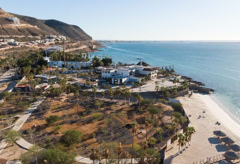 ホテル Orchid House Baja & Beach Club