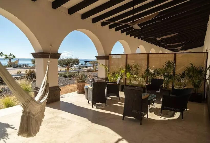 Hotelli Orchid House Baja & Beach Club