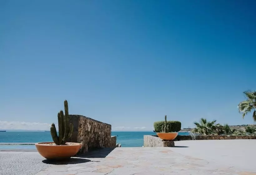 Hotelli Orchid House Baja & Beach Club