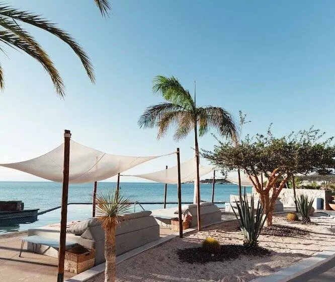 Hotelli Orchid House Baja & Beach Club