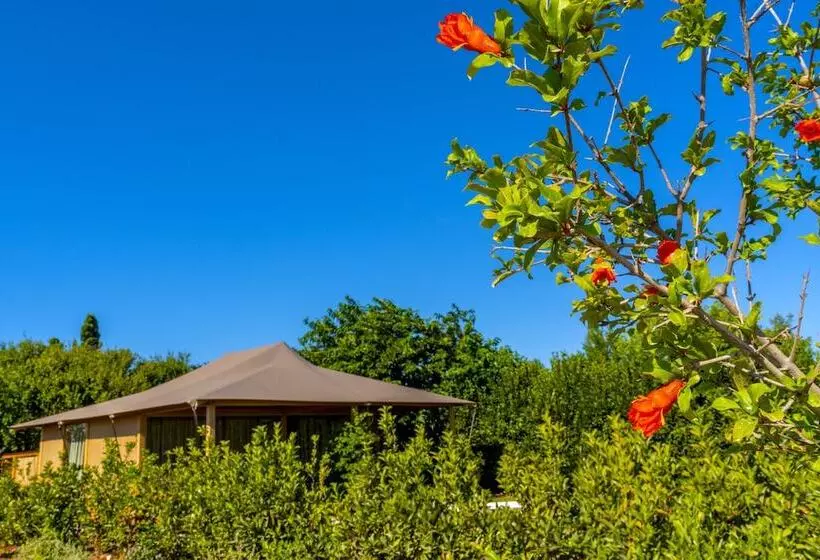 مسافرخانه Infinito Resort