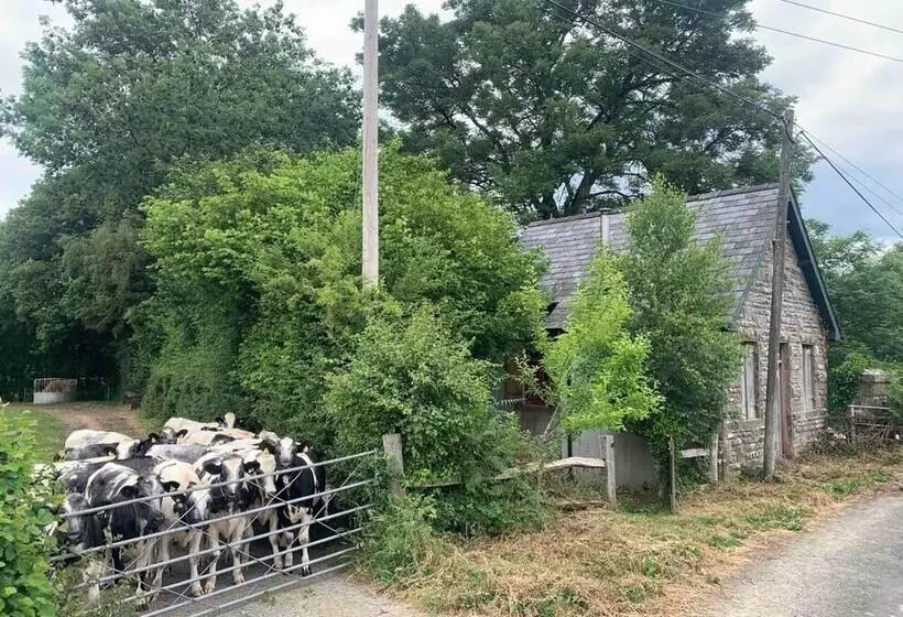 Hotelli Beautiful Riverside Lodge In Newbridge On Wye