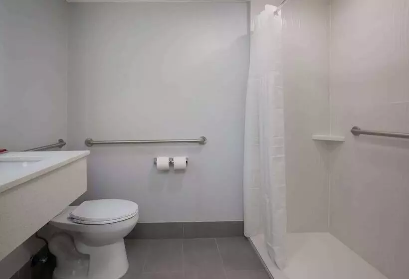 ホテル Surestay Plus By Best Western Pigeon Forge