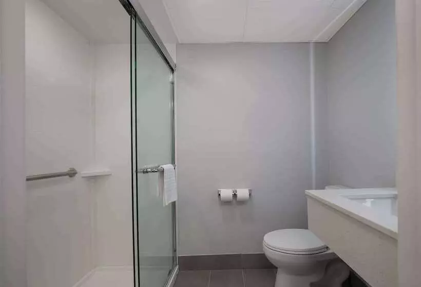 ホテル Surestay Plus By Best Western Pigeon Forge