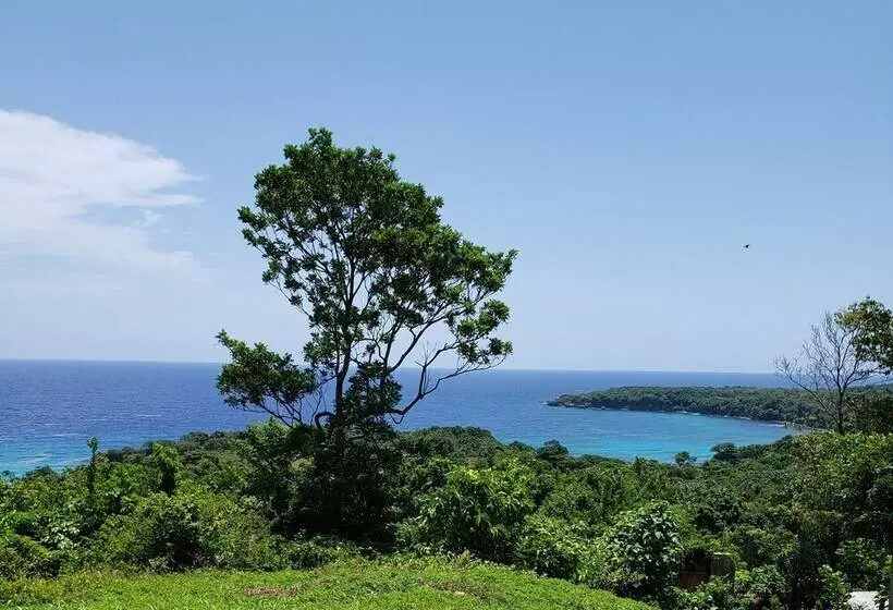 پانسیون Boston Bay