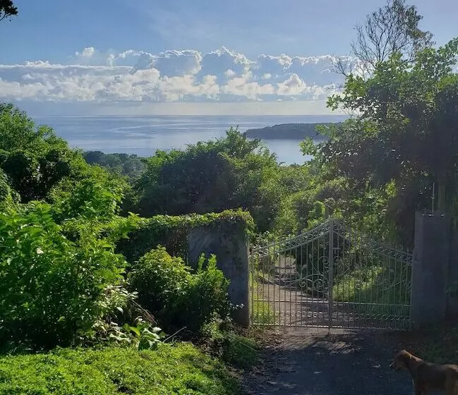 پانسیون Boston Bay