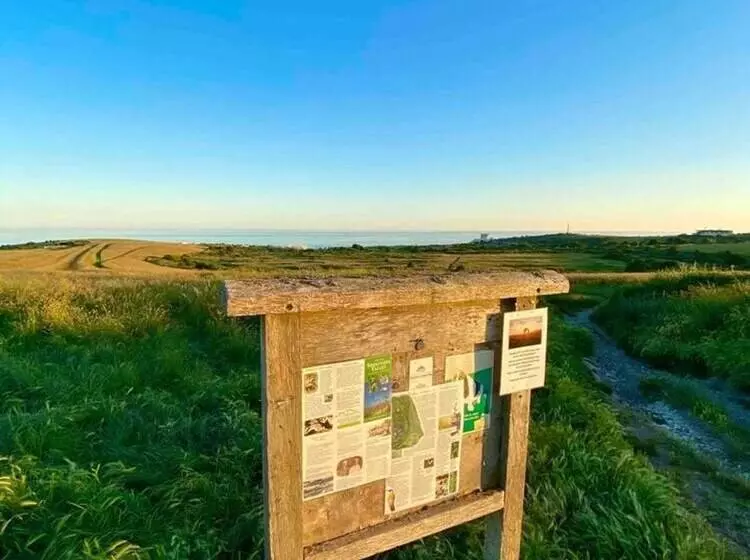 Residenssi 2 Bed Retreat With Amazing Sea Views In Brighton