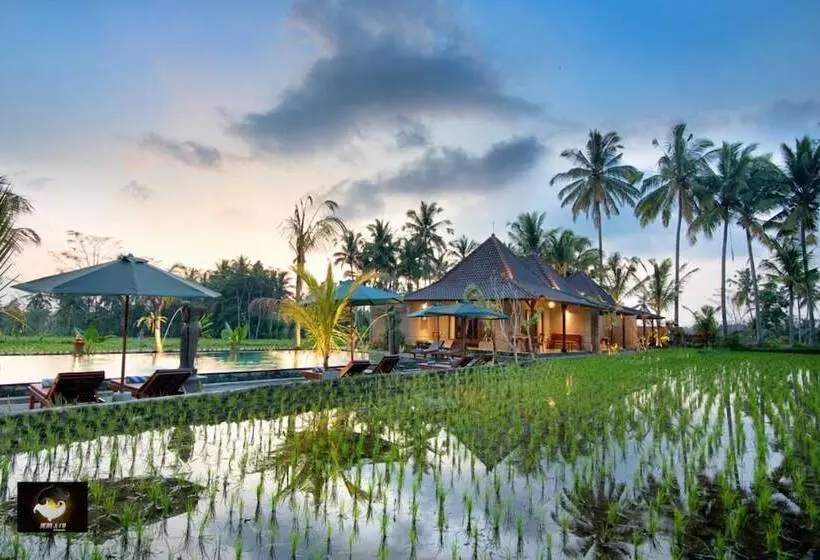 Aamiaismajoitus (B&B) Intan Villa & Suite Ubud