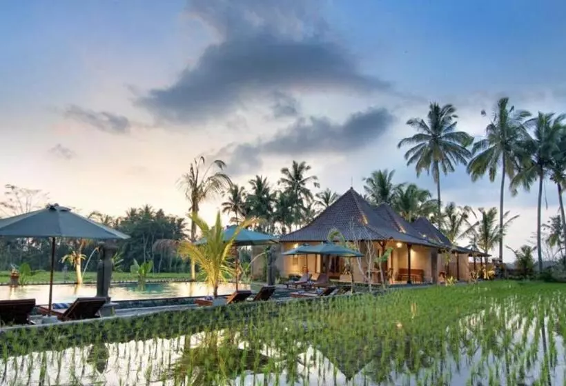 Aamiaismajoitus (B&B) Intan Villa & Suite Ubud