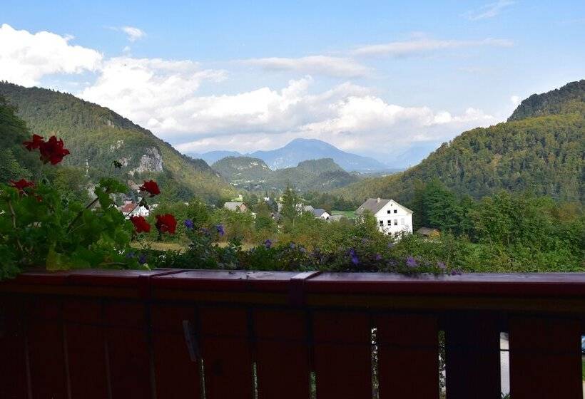 تختخواب و صبحانه Sobe Ravnik