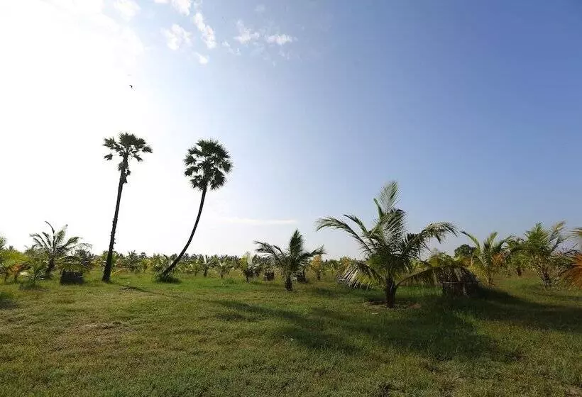 هتل Kay Jay Palms