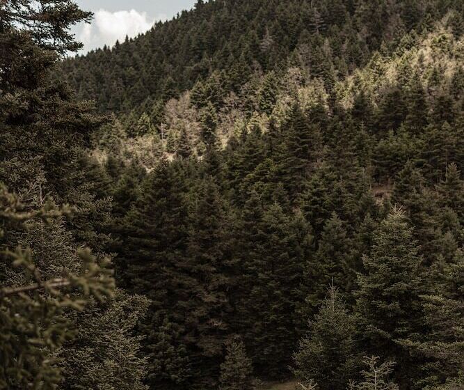 Manna, A Member Of Design Hotels