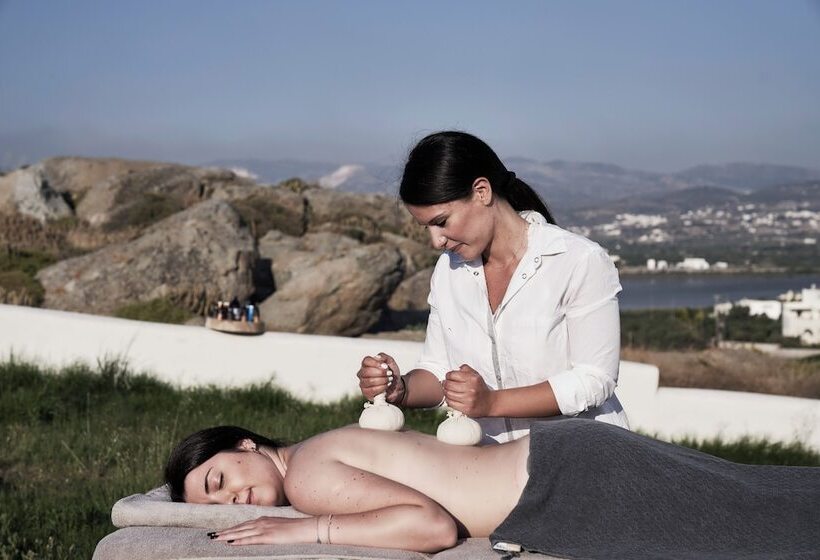 Hotel Naxian Rhapsody