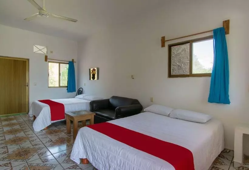 ホテル Y Bungalows Bugambilias