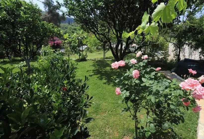 Residenssi Beautiful 8 Bed House In Corfu