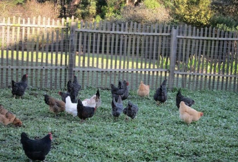 住宿加早餐  Inn At The Cobbler S Walk