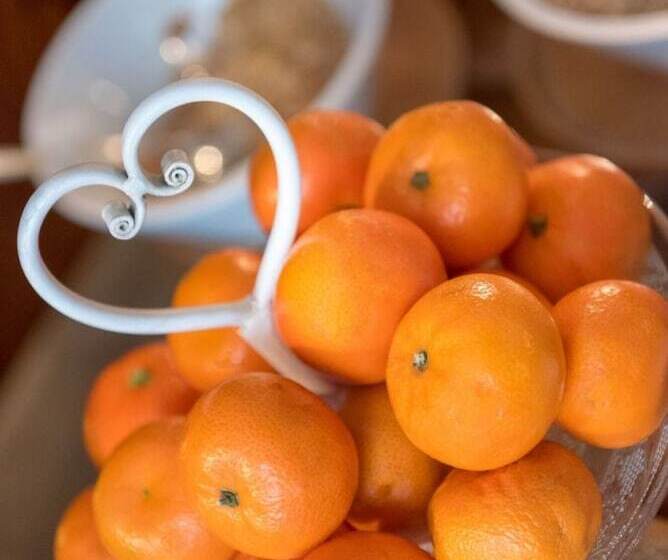 ホテル Rendez Vous