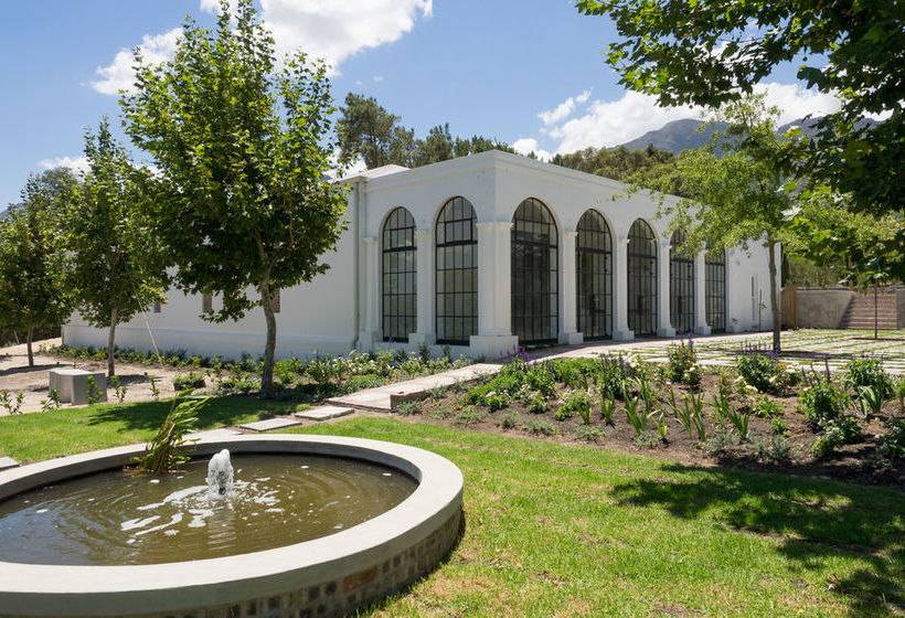 Lily Pond At Le Lude