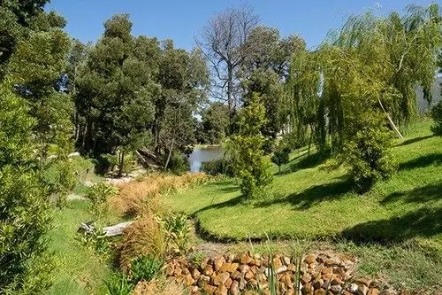 Lily Pond At Le Lude