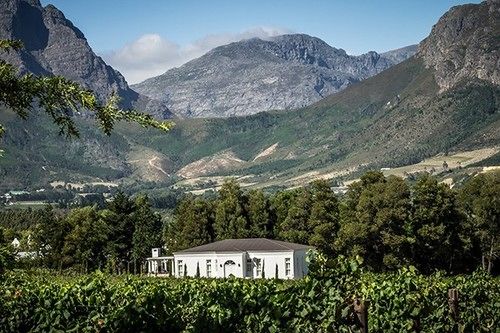 Lily Pond At Le Lude