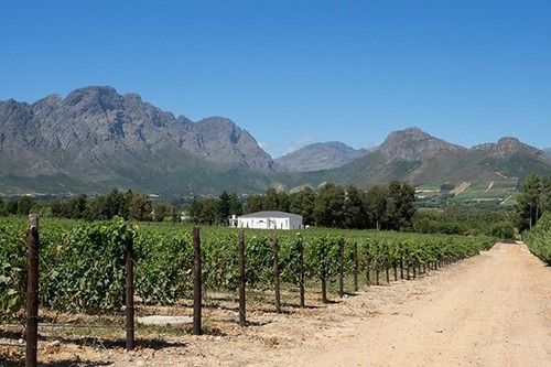 Lily Pond At Le Lude