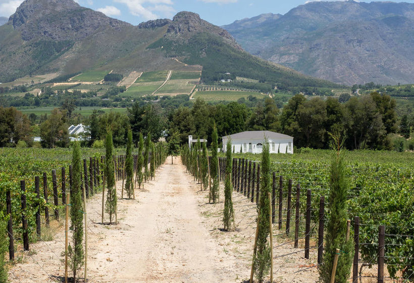 Lily Pond At Le Lude