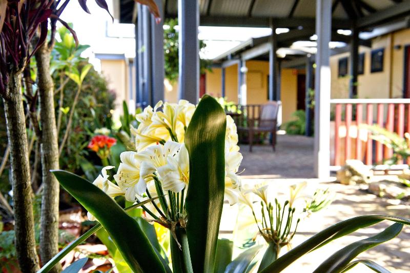 فندق على الطريق Vintages Accommodation