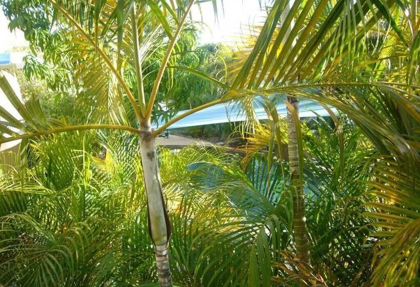 Pacific Sands Holiday Apartments