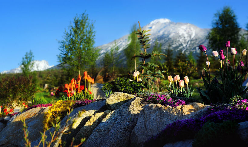 Panoramic Mountain Residence