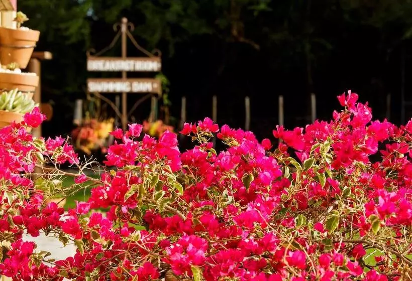 Majatalo Die Fonteine Country Guest House